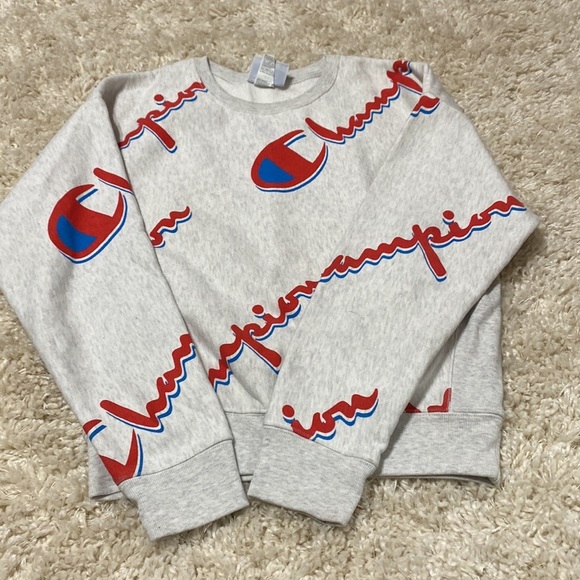 Gray Champion Logo crew neck cotton sweater, size medium - Picture 2 of 10